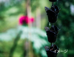 写真：法隆寺