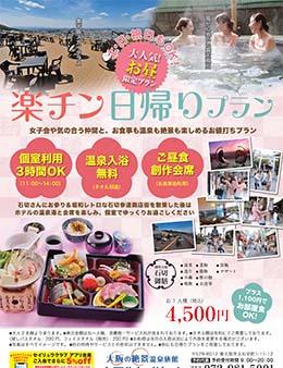 楽チン日帰りプラン