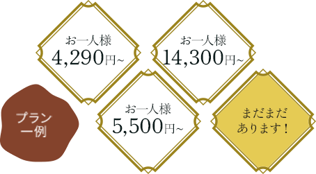 日帰りプランはお一人様4,290円～、13,200円～、5,500円などまだまだあります！